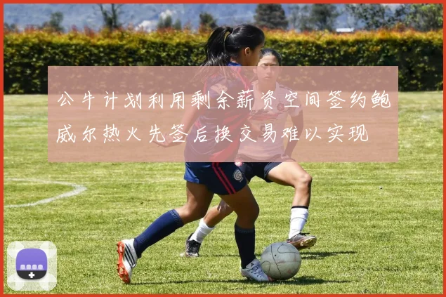 公牛计划利用剩余薪资空间签约鲍威尔热火先签后换交易难以实现