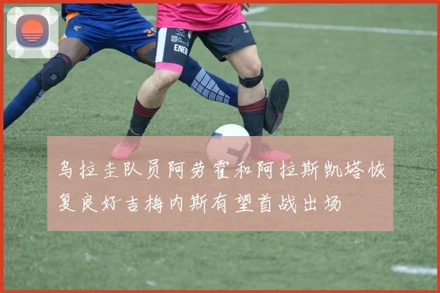 乌拉圭队员阿劳霍和阿拉斯凯塔恢复良好吉梅内斯有望首战出场